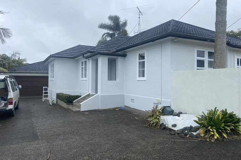 Photo of property in 17 Massey Avenue, Greenlane, Auckland, 1061