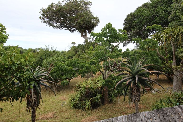 Photo of property in 83 Kohinui Heights Rise, Parua Bay, 0192