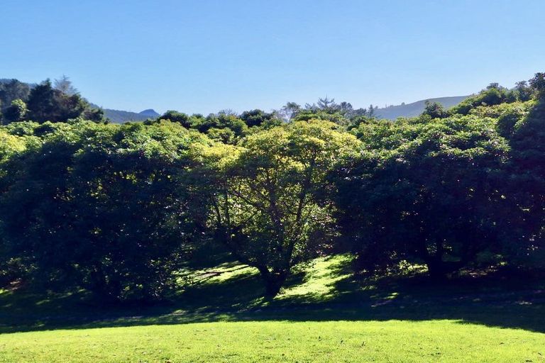 Photo of property in 496 Waitao Road, Waitao, Tauranga, 3175