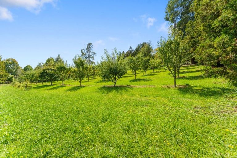 Photo of property in 664 State Highway 2, Tahawai, Katikati, 3170