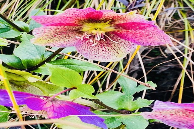 Photo of property in 185 Pongakawa Valley Road, Lake Rotoma, Rotorua, 3074