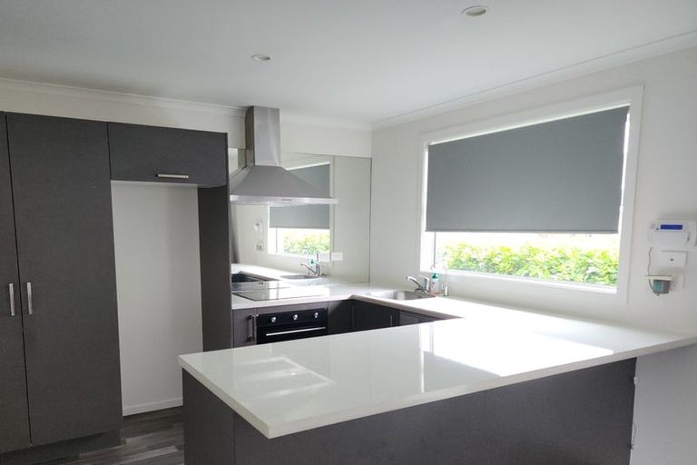 Photo of property in 41a Springfield Crescent, Enderley, Hamilton, 3214