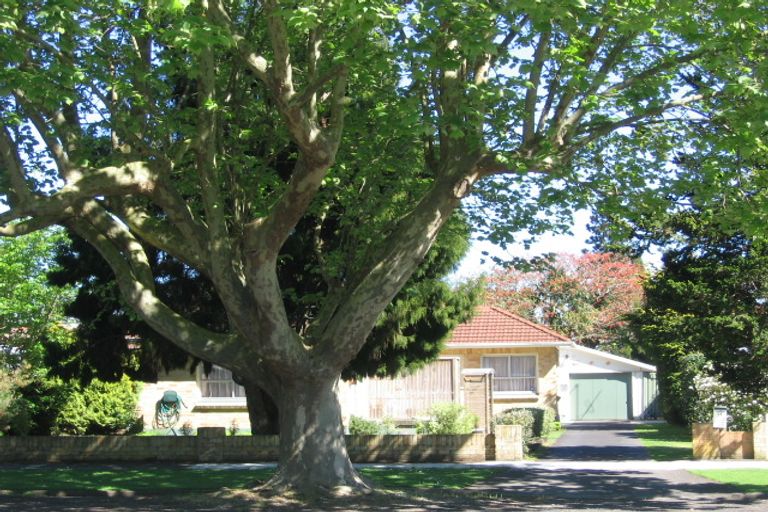 Photo of property in 21 Meura Street, Matamata, 3400