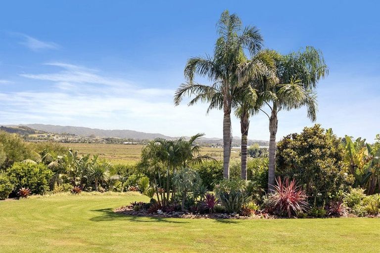 Photo of property in 74 Avocado Lane, Mangawhai, Wellsford, 0975