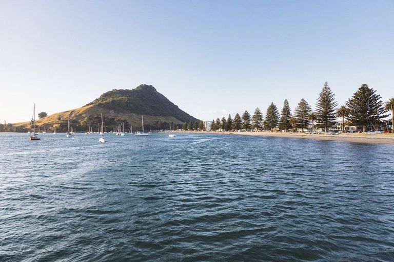 Photo of property in Paramount Apartments, 32/281 Maunganui Road, Mount Maunganui, 3116