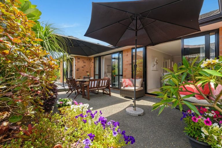 Photo of property in 46 Carrington Drive, Papamoa Beach, Papamoa, 3118
