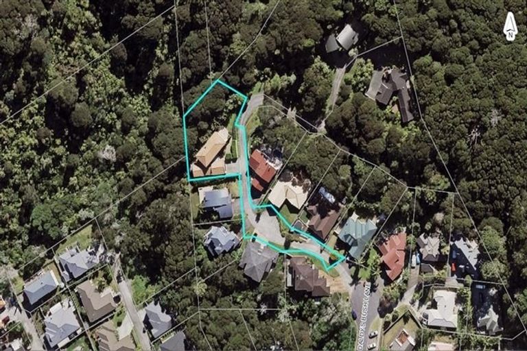 Photo of property in 14 Daldys Bush Lane, Bayview, Auckland, 0629