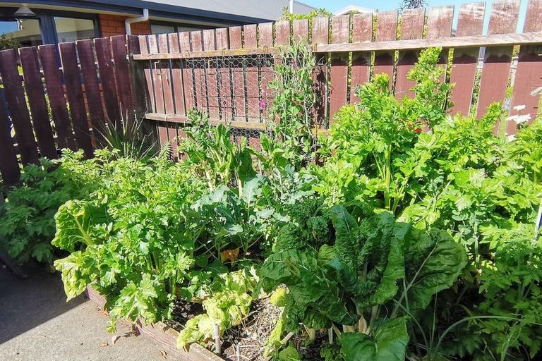 Photo of property in 4/93 Avenue Road, West End, Timaru, 7910