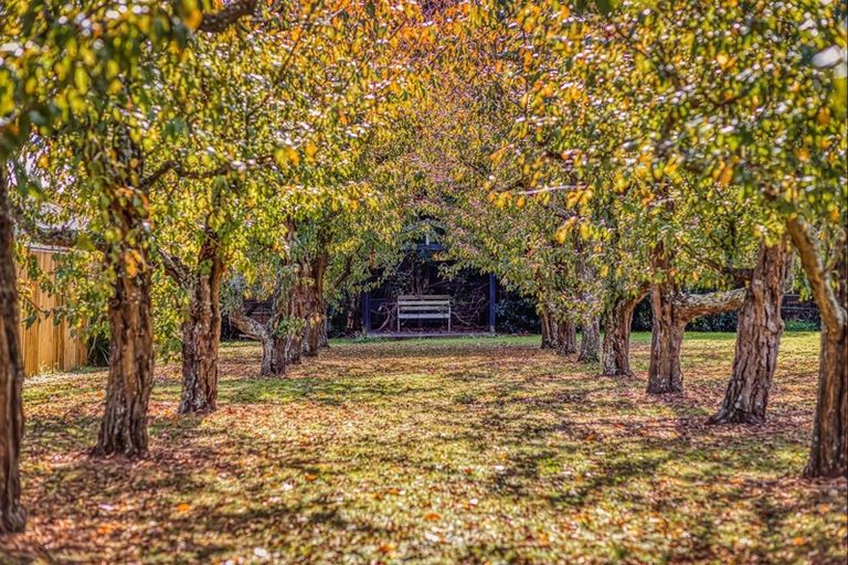 Photo of property in 309 Newell Road, Tamahere, Hamilton, 3283