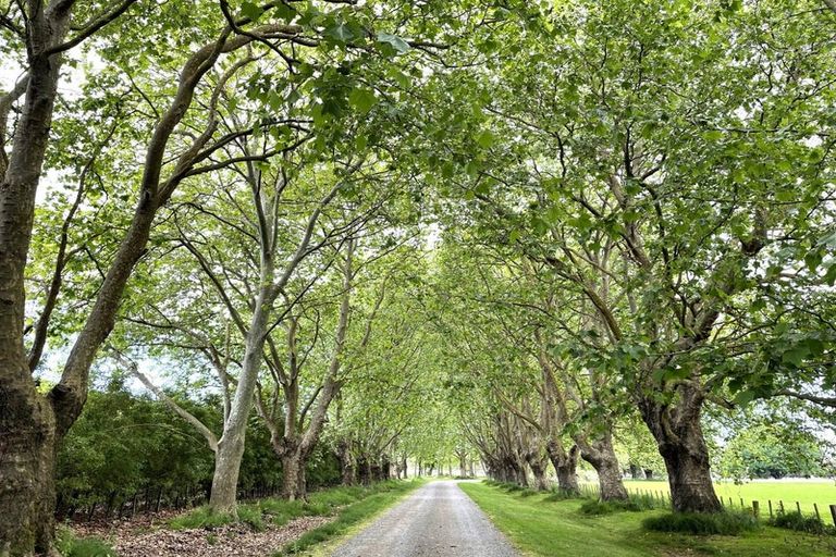 Photo of property in Hawthorne House, 1420 Railway Road South, Pakipaki, Hastings, 4178