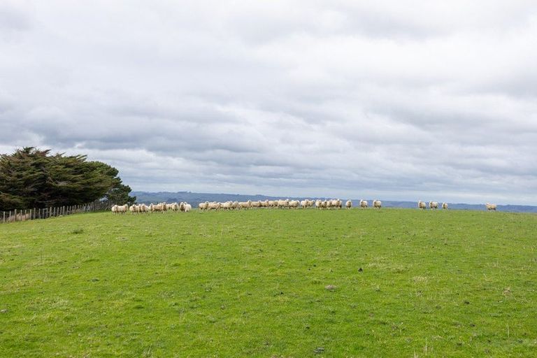 Photo of property in 1250 Kaukatea Valley Road, Okoia, Whanganui, 4582