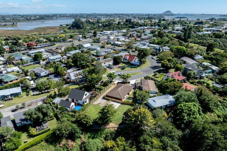 Photo of property in 24a Kaimai Place, Hairini, Tauranga, 3112