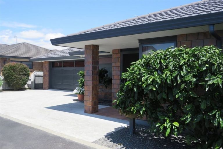 Photo of property in 63a Winchester Street, Levin, 5510