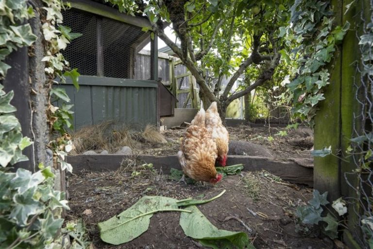 Photo of property in 17 Bampton Street, Burwood, Christchurch, 8061