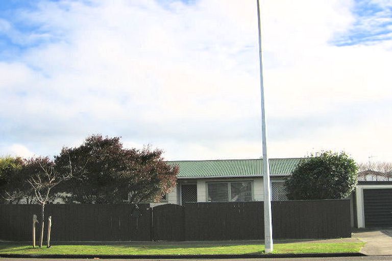 Photo of property in 97 Limbrick Street, Terrace End, Palmerston North, 4410