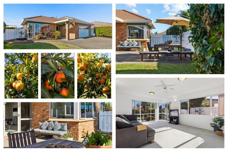 Photo of property in 23 Lotus Avenue, Mount Maunganui, 3116