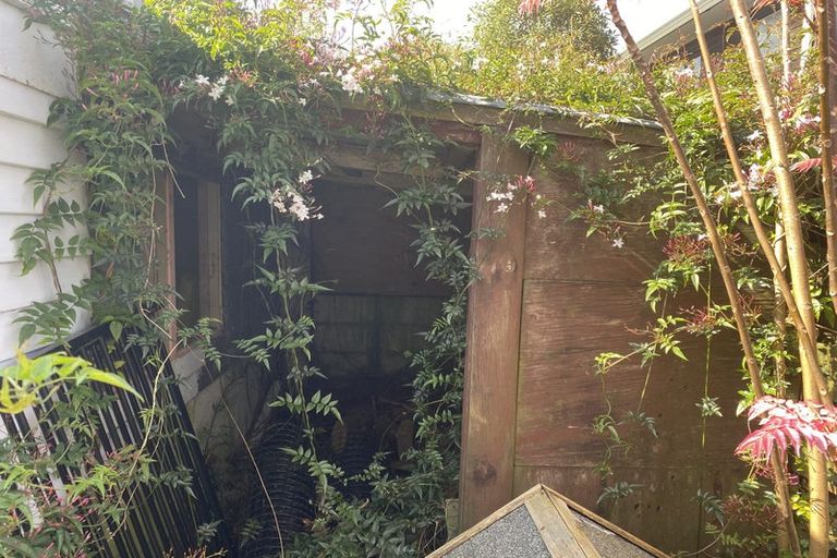 Photo of property in 18 Kingsley Street, St Andrews, Hamilton, 3200