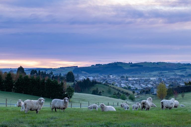 Photo of property in 30 Eversfield Rise, Gore, 9710