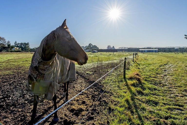Photo of property in 12 Bramleys Road, Flaxton, Kaiapoi, 7691
