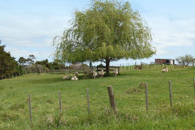 Photo of property in Gibbons Road, Kaiwaka, 0573