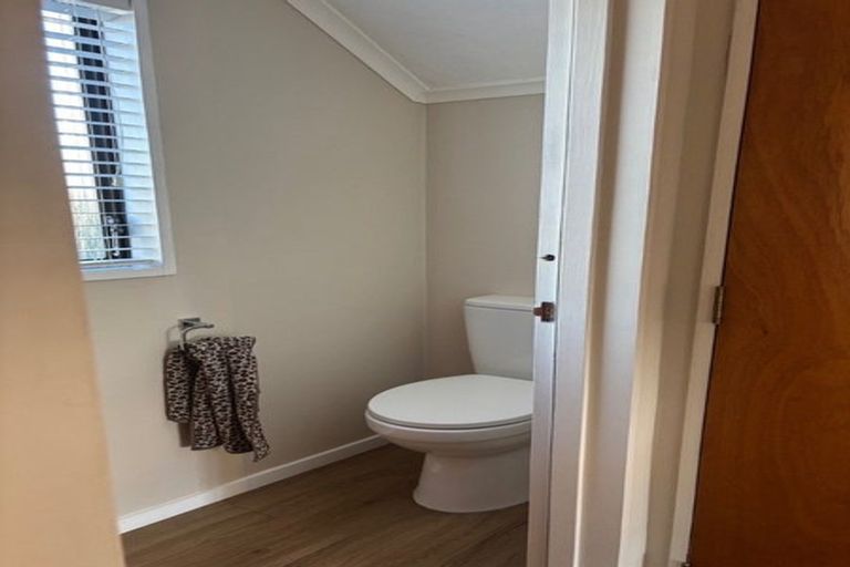 Photo of property in 17 Mcarthur Street, Terrace End, Palmerston North, 4410
