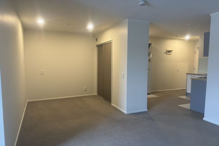 Photo of property in Luna Apartments, 1n/16 Burton Street, Grafton, Auckland, 1010