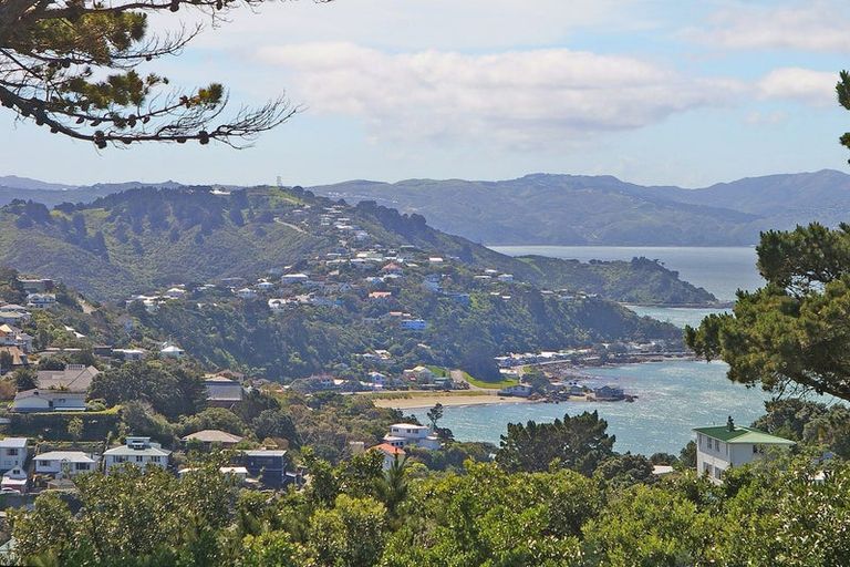 Photo of property in 80 Beacon Hill Road, Strathmore Park, Wellington, 6022