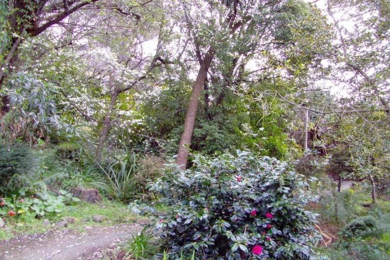 Photo of property in 90 Queen Street, North Dunedin, Dunedin, 9016