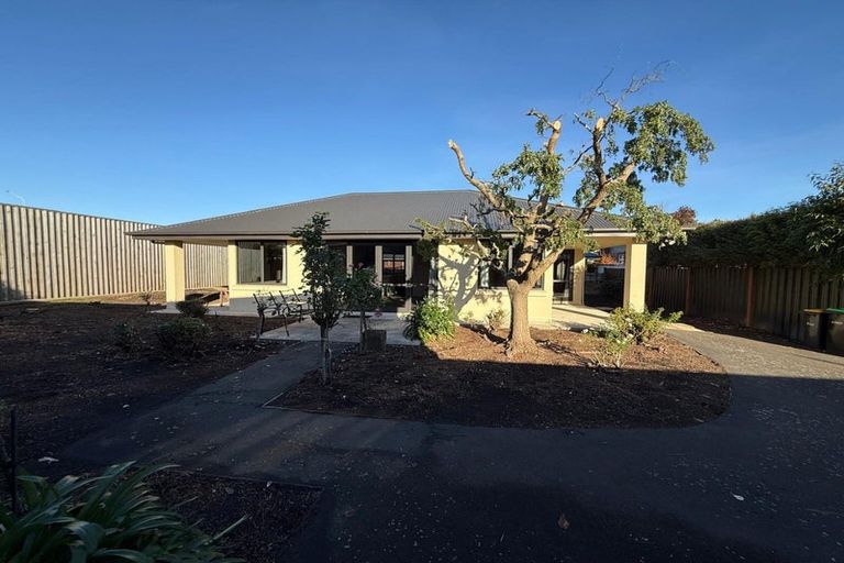 Photo of property in 41a Irvine Street, Mosgiel, 9024