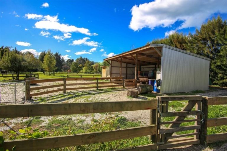 Photo of property in 123 Staples Street, Motueka, 7120