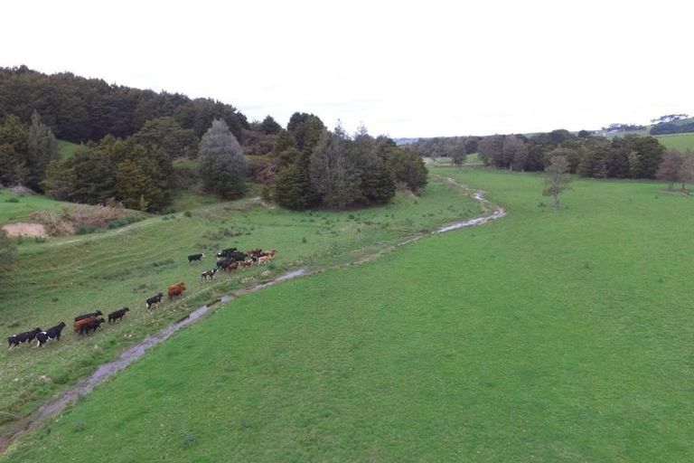 Photo of property in 48 Station Road, Pukekohe, 2120