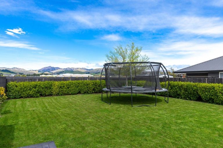 Photo of property in 17 Catalina Crescent, Burleigh, Blenheim, 7201
