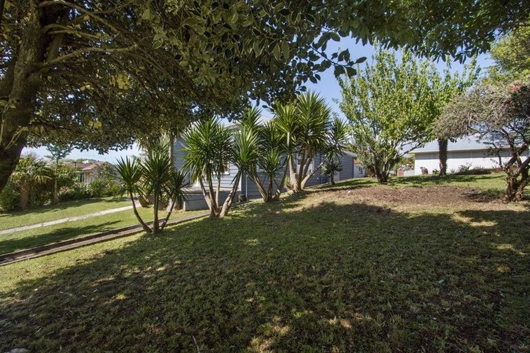 Photo of property in 24 Gilmour Street, Waihi, 3610