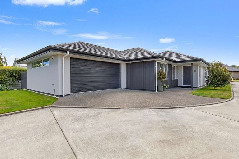 Photo of property in 42 Springvale Road, Springvale, Whanganui, 4501