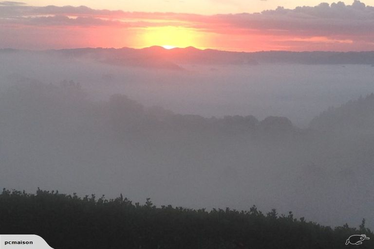 Photo of property in 314 Vinegar Hill Road, Kauri, Kamo, 0185