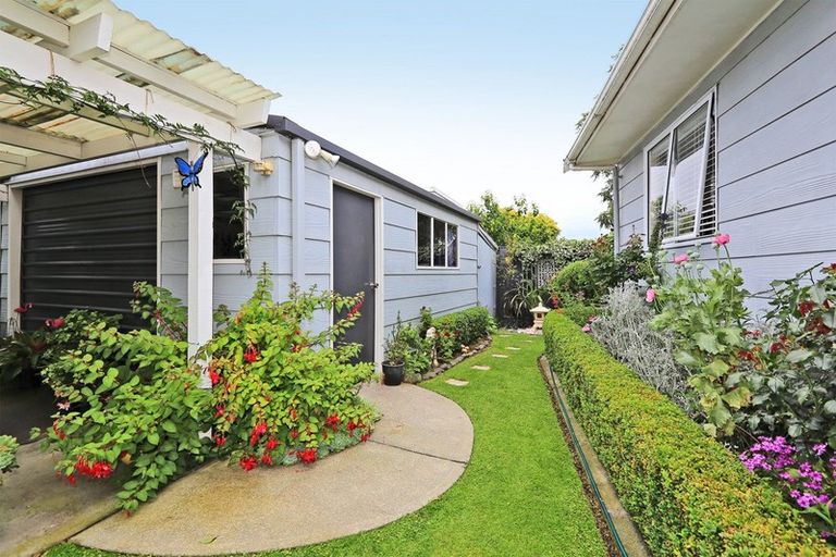 Photo of property in 302 Leo Street, Akina, Hastings, 4122