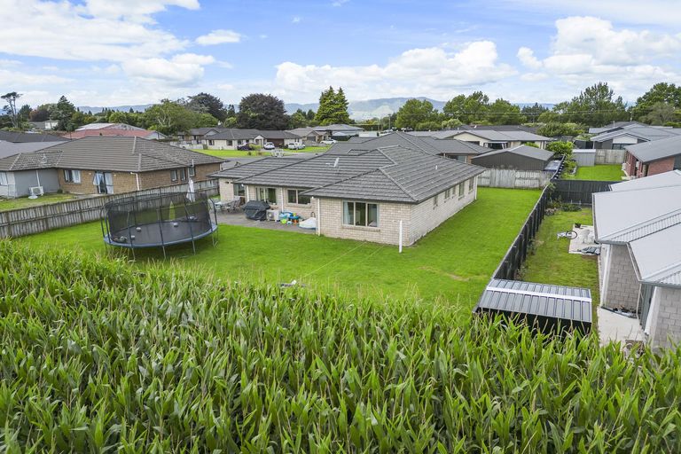 Photo of property in 11 Birchwood Lane, Matamata, 3400