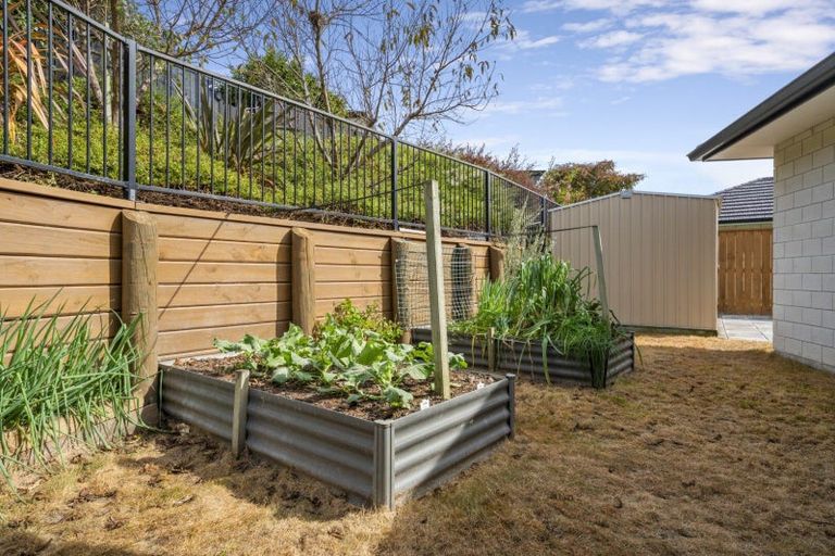 Photo of property in 15 Shoreview Close, Omokoroa, 3114