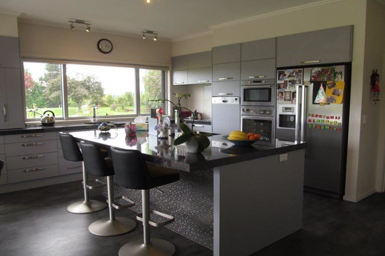 Photo of property in 136 Earnscleugh Road, Earnscleugh, Alexandra, 9391