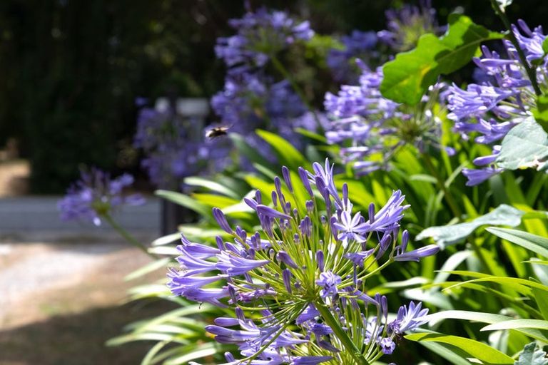 Photo of property in 180 Kent Street, Kingston, Athol, 9793