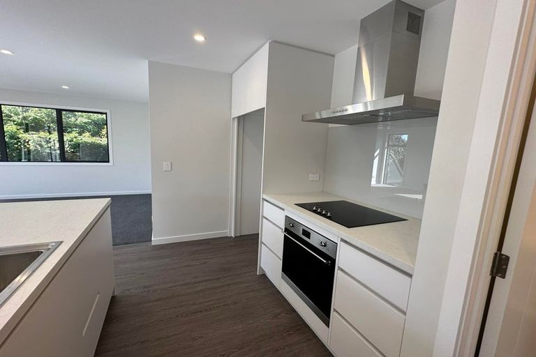 Photo of property in 208a Hill Street, Richmond, 7020