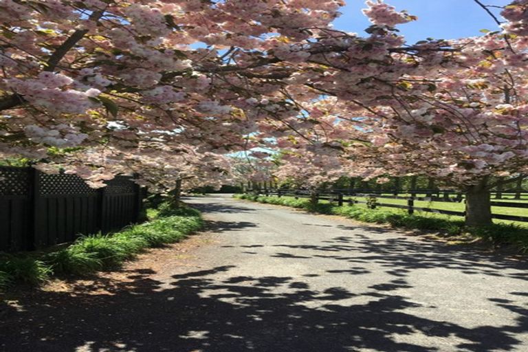 Photo of property in 305 Lehmans Road, Fernside, Rangiora, 7471