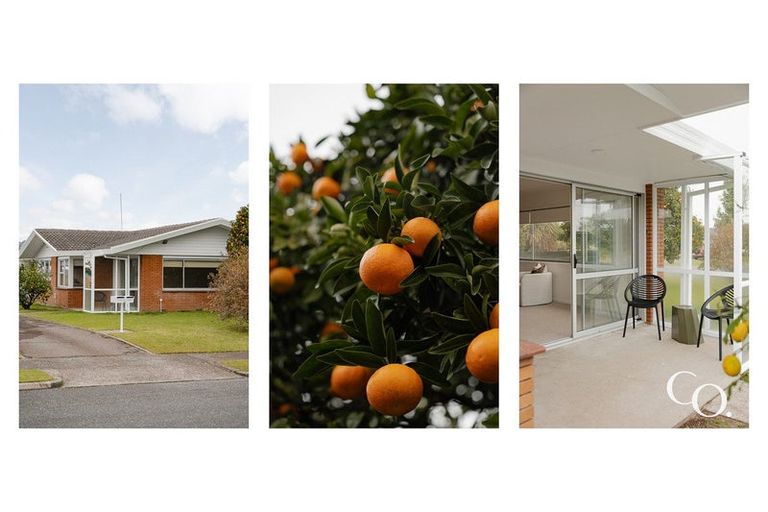 Photo of property in 77 Te Hono Street, Maungatapu, Tauranga, 3112