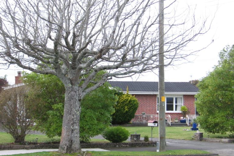 Photo of property in 48 Miro Street, Lansdowne, Masterton, 5810