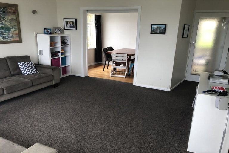 Photo of property in 17 Bedford Street, Northland, Wellington, 6012