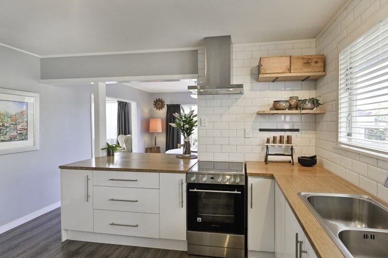 Photo of property in 221 Tudor Avenue, Mayfair, Hastings, 4122