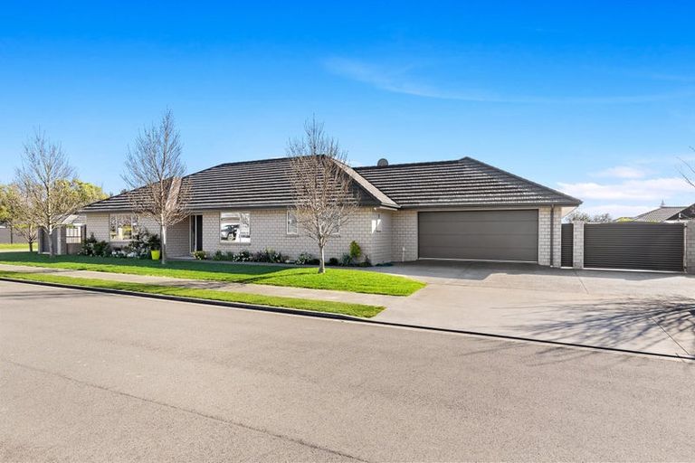 Photo of property in 37 Maeburn Street, Witherlea, Blenheim, 7201