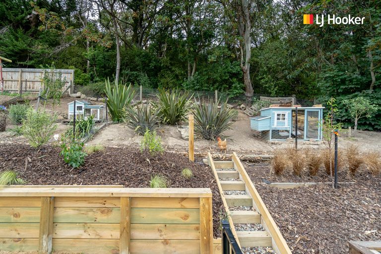 Photo of property in 88 Somerville Street, Andersons Bay, Dunedin, 9013