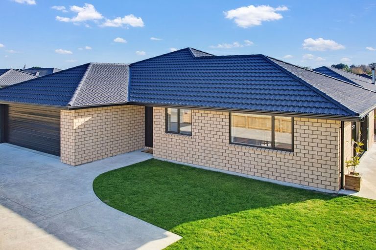 Photo of property in 99 Fairfield Road, Levin, 5510