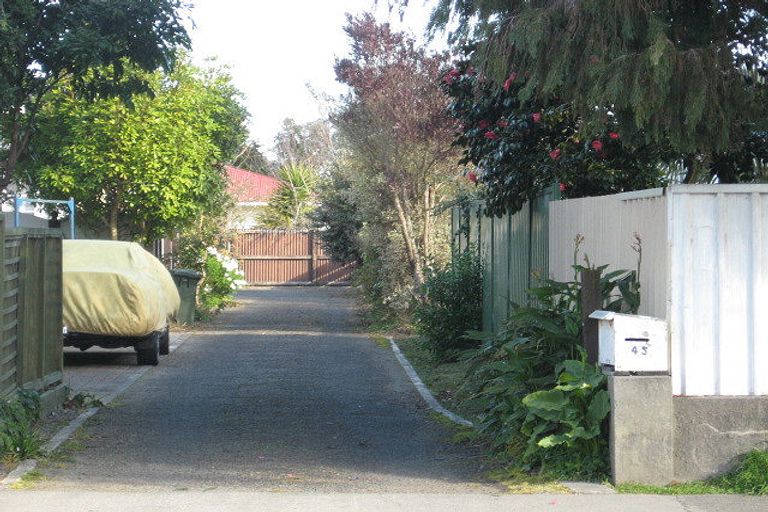 Photo of property in 45 Bridge Street, Whakatane, 3120